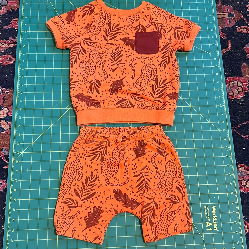 Cat & Jack 5T matching set